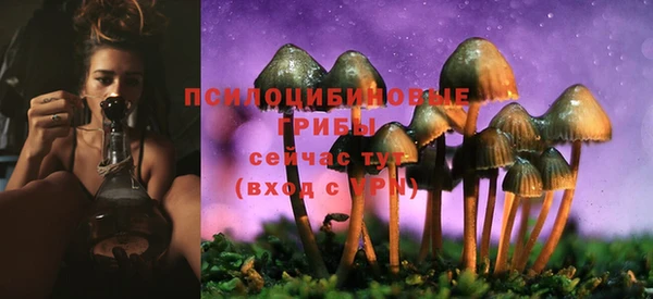 амф Аркадак